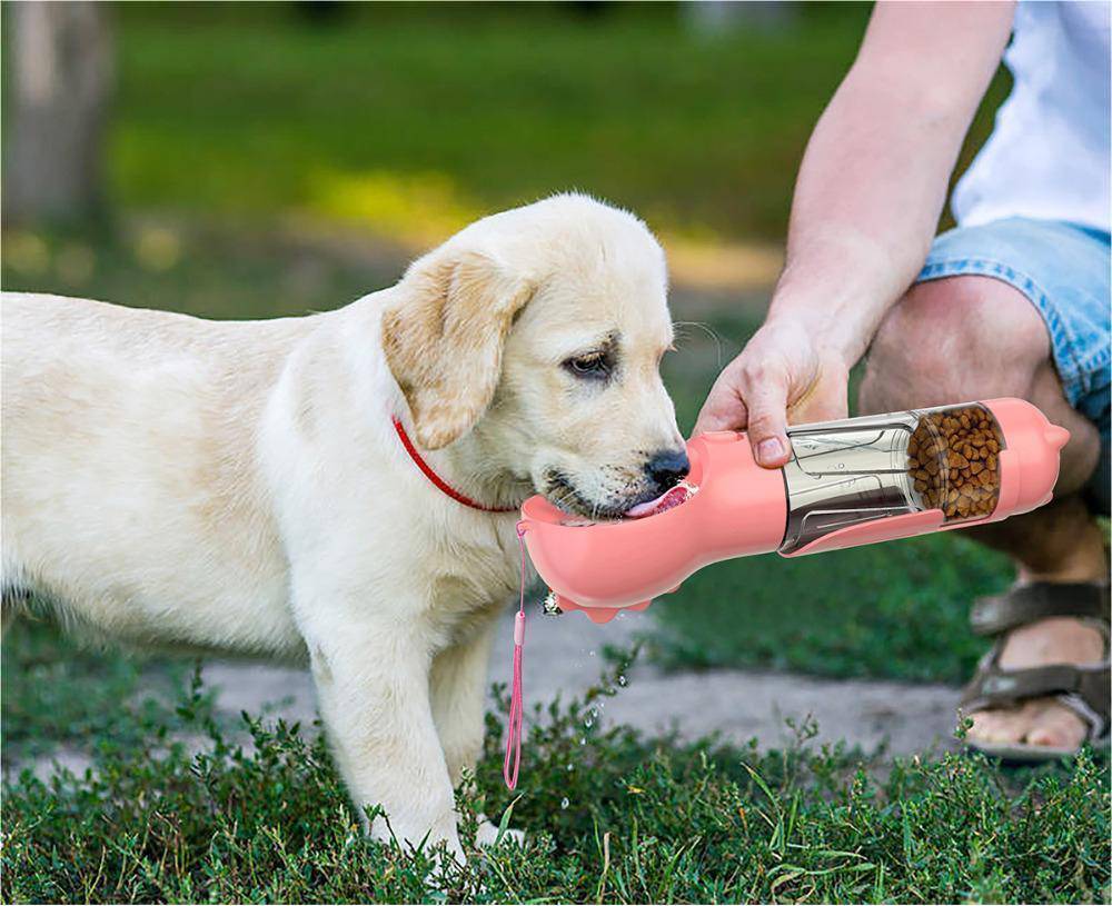 3-in-1 Portable Dog Water Bottle for Travel & Feeding - Klargent LLC