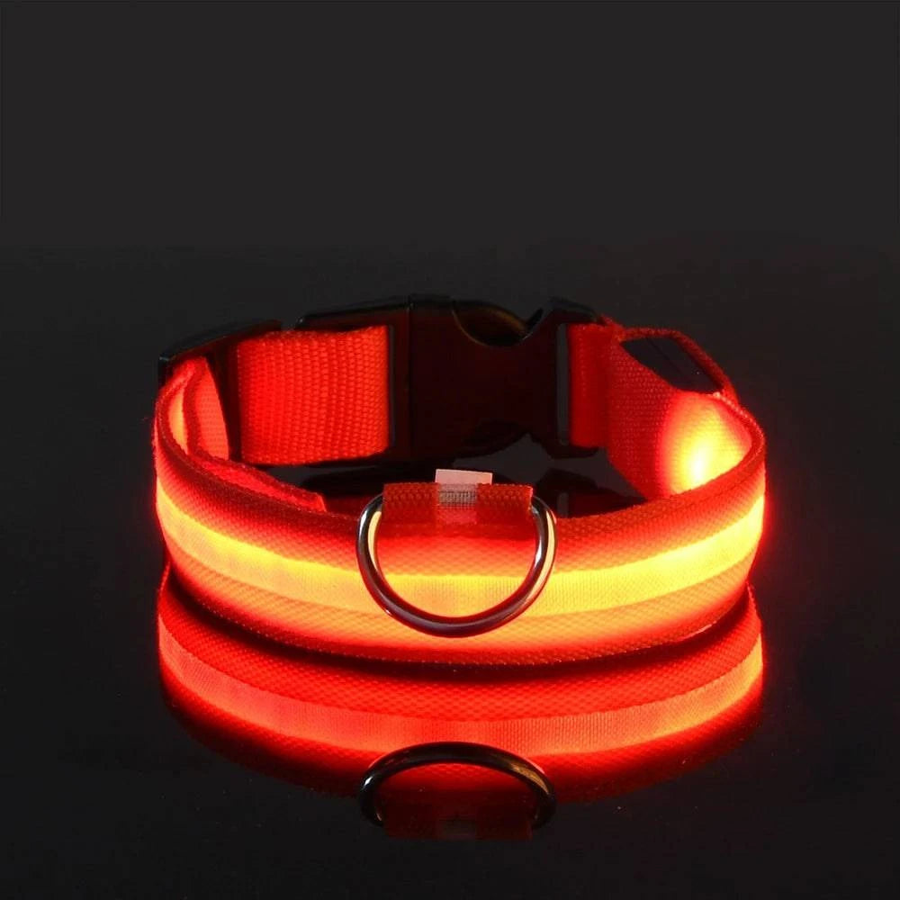 LED Glow Leash: Night Safety & Visibility for Your Dog - Klargent LLC