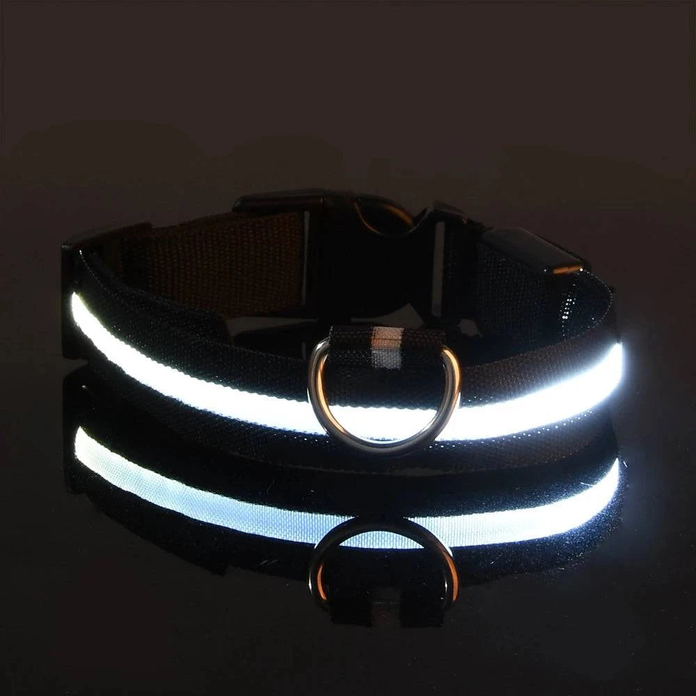 LED Glow Leash: Night Safety & Visibility for Your Dog - Klargent LLC