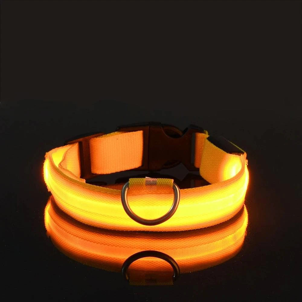 LED Glow Leash: Night Safety & Visibility for Your Dog - Klargent LLC