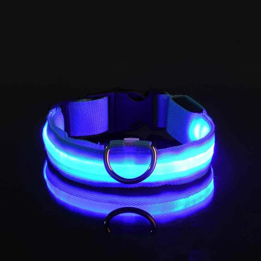 LED Glow Leash: Night Safety & Visibility for Your Dog - Klargent LLC