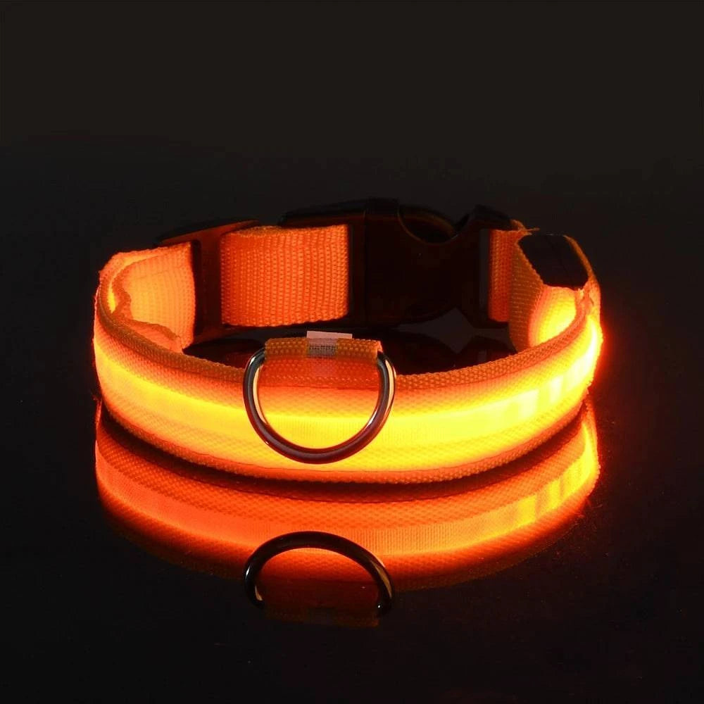 LED Glow Leash: Night Safety & Visibility for Your Dog - Klargent LLC
