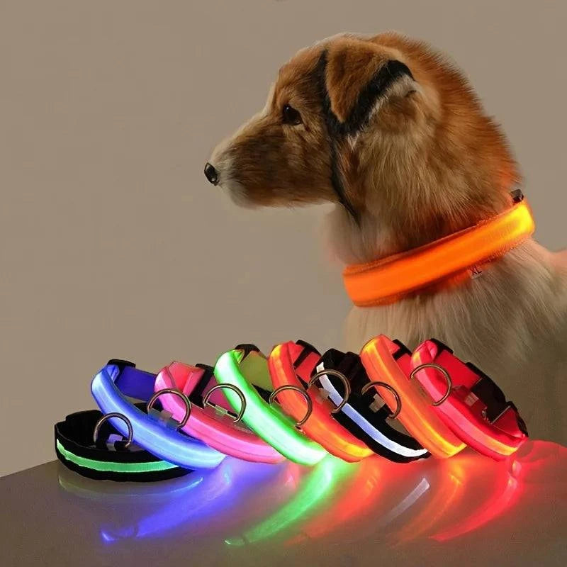 LED Glow Leash: Night Safety & Visibility for Your Dog - Klargent LLC
