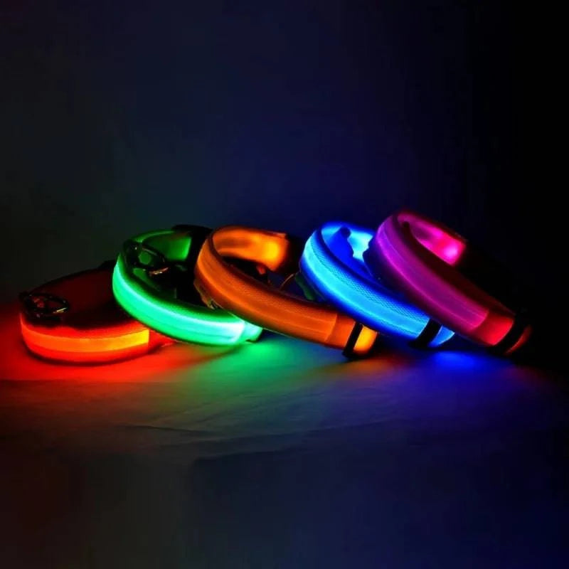 LED Glow Leash: Night Safety & Visibility for Your Dog - Klargent LLC