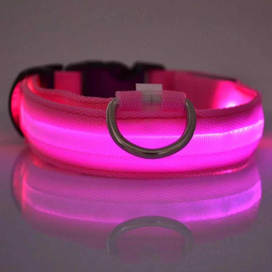 LED Glow Leash: Night Safety & Visibility for Your Dog - Klargent LLC