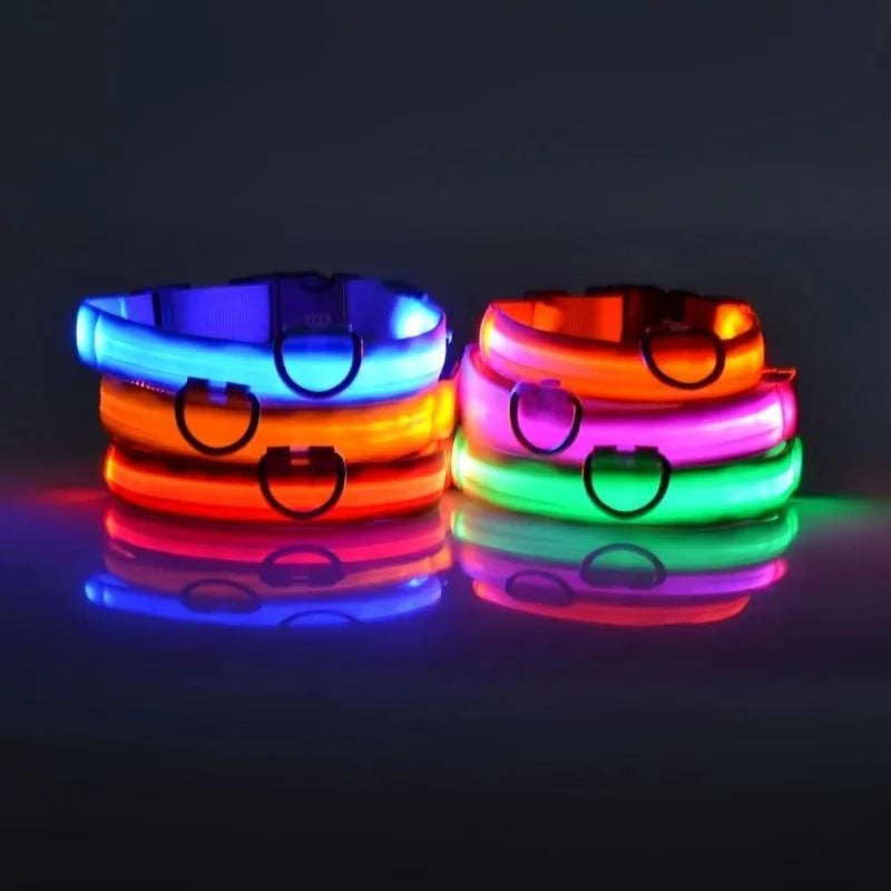 LED Glow Leash: Night Safety & Visibility for Your Dog - Klargent LLC