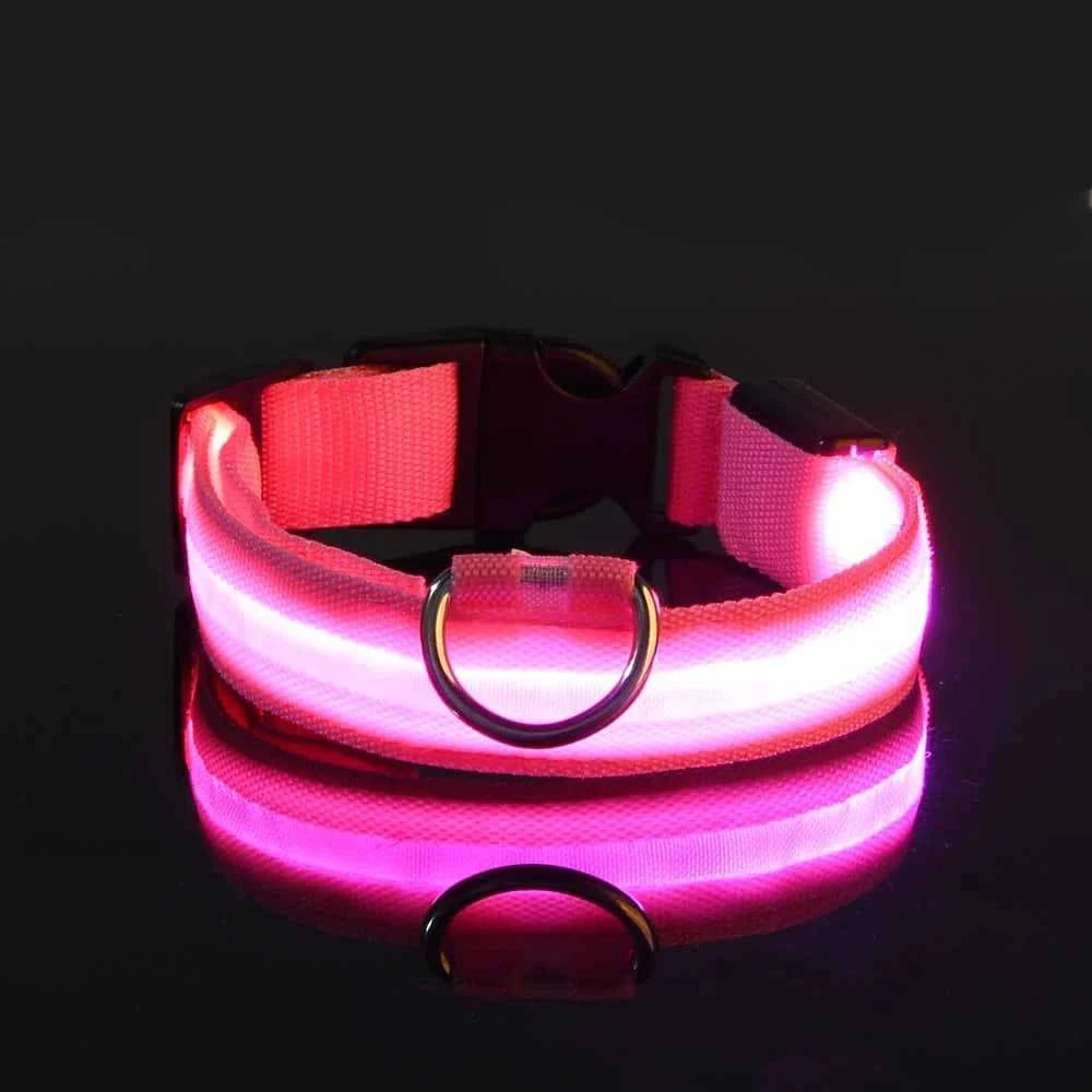 LED Glow Leash: Night Safety & Visibility for Your Dog - Klargent LLC