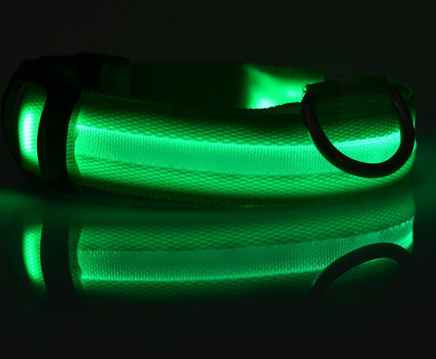 Light-Up Safety Collar: Keep Your Dog Visible and Stylish at Night!