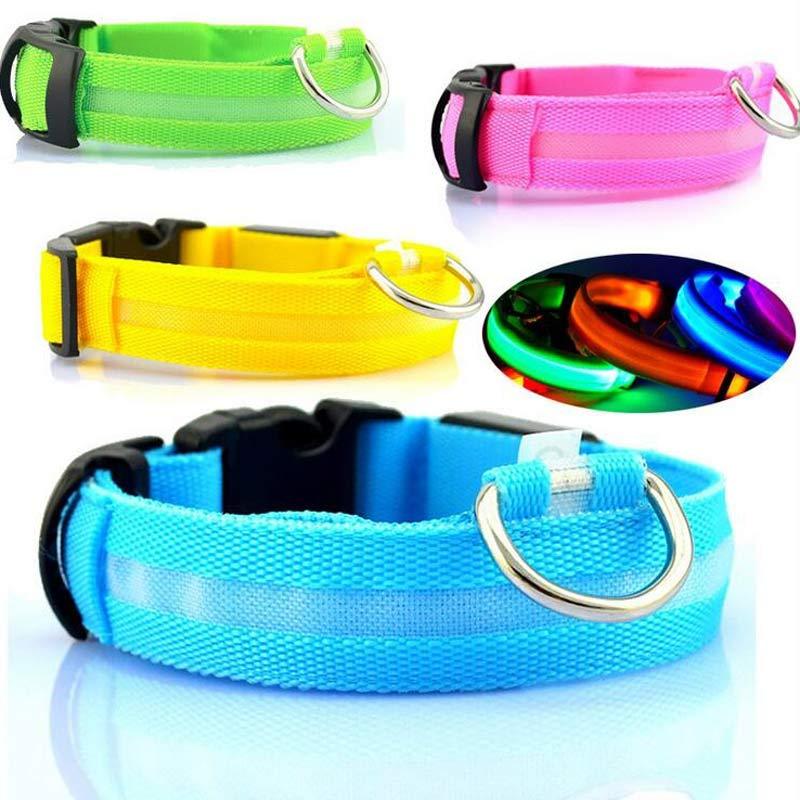 Light-Up Safety Collar: Keep Your Dog Visible and Stylish at Night!
