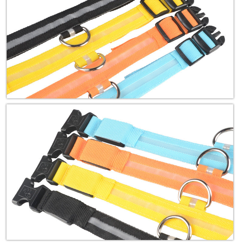 Light-Up Safety Collar: Keep Your Dog Visible and Stylish at Night!