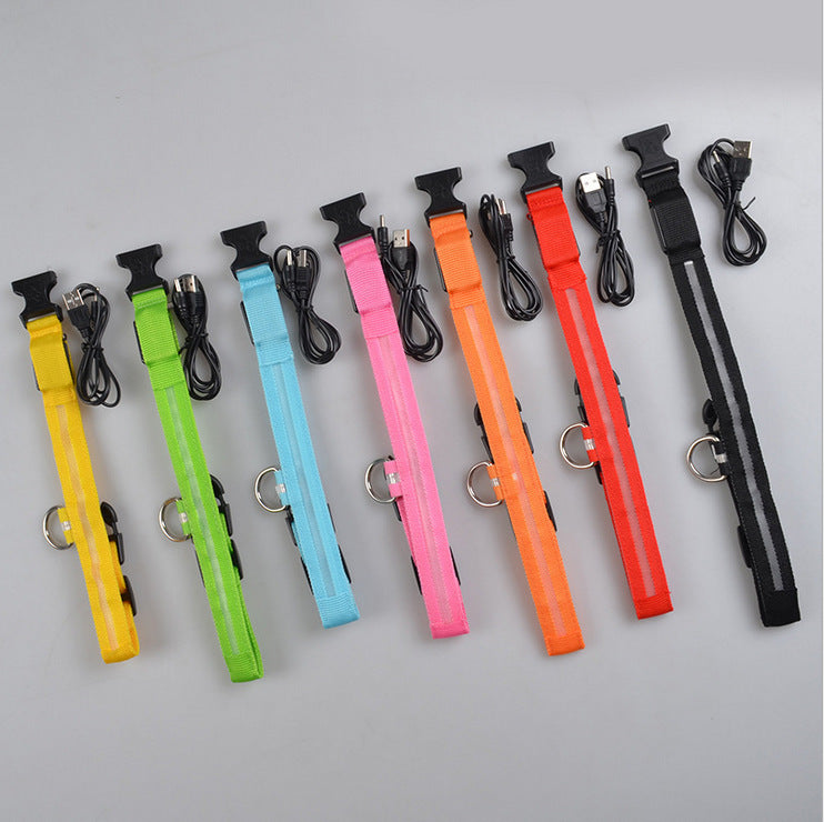 Light-Up Safety Collar: Keep Your Dog Visible and Stylish at Night!