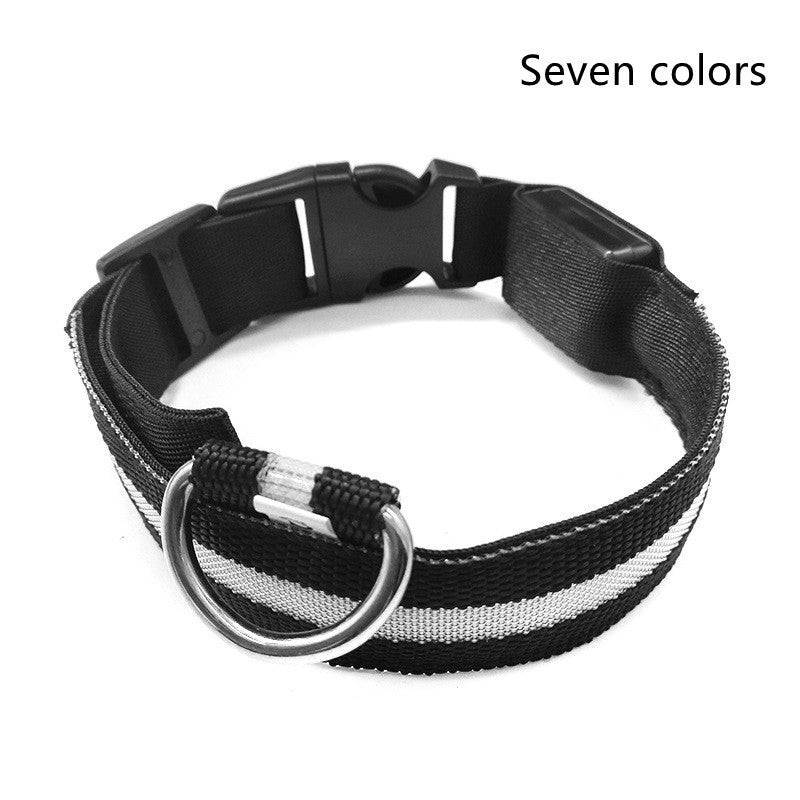Light-Up Safety Collar: Keep Your Dog Visible and Stylish at Night!