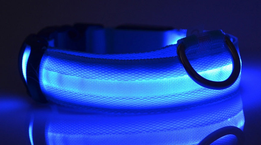 Light-Up Safety Collar: Keep Your Dog Visible and Stylish at Night!