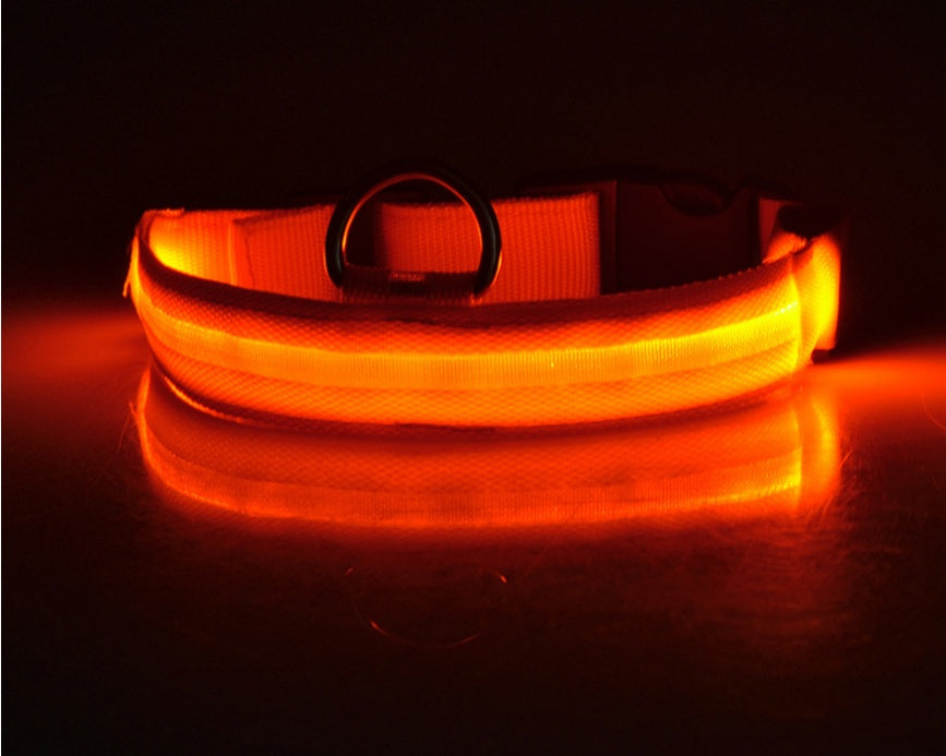 Light-Up Safety Collar: Keep Your Dog Visible and Stylish at Night!