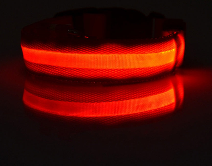 Light-Up Safety Collar: Keep Your Dog Visible and Stylish at Night!