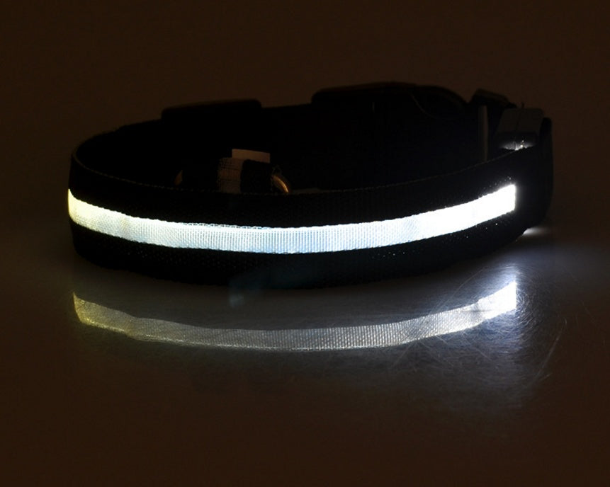 Light-Up Safety Collar: Keep Your Dog Visible and Stylish at Night!