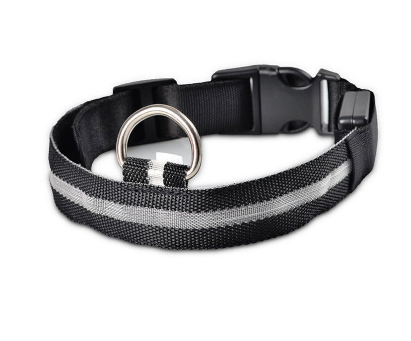 Light-Up Safety Collar: Keep Your Dog Visible and Stylish at Night!