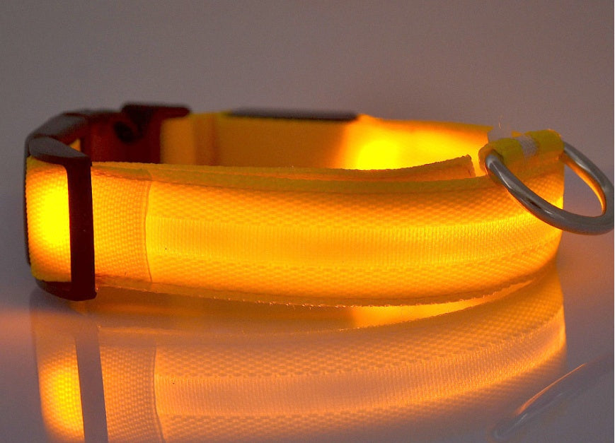 Light-Up Safety Collar: Keep Your Dog Visible and Stylish at Night!