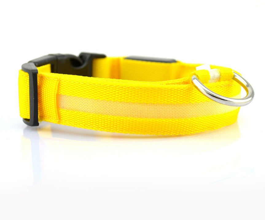 Light-Up Safety Collar: Keep Your Dog Visible and Stylish at Night!