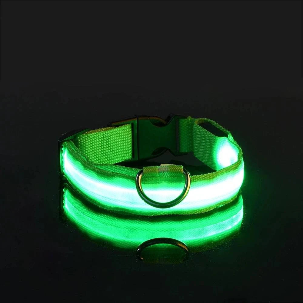 LED Glow Leash: Night Safety & Visibility for Your Dog - Klargent LLC