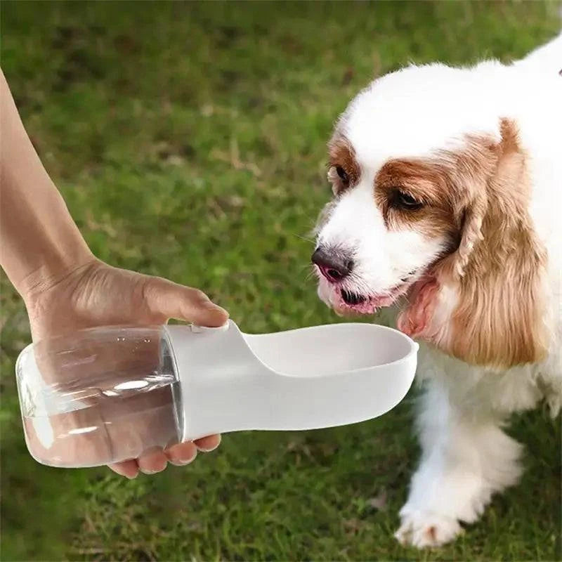Portable Pet Water Bottle: Hydration On-the-Go for Dogs & Cats - Klargent LLC