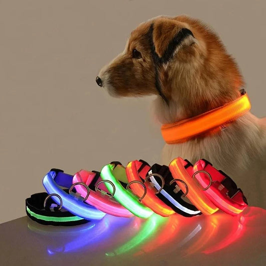 LED Glow Leash: Night Safety & Visibility for Your Dog - Klargent LLC