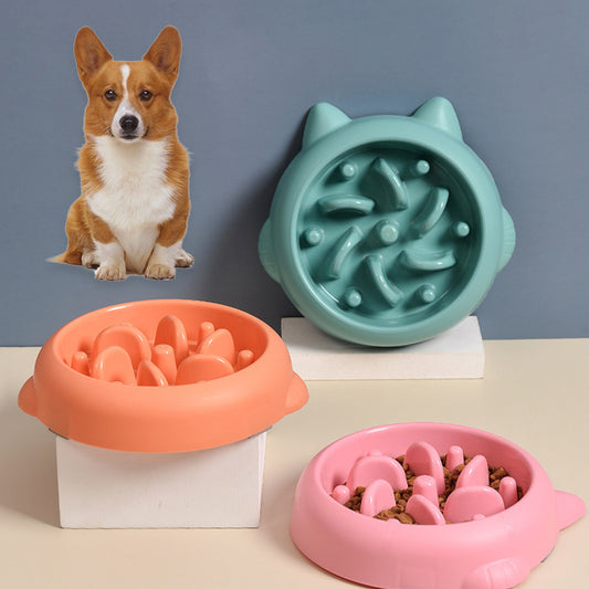Fun & Healthy Slow Feeder Bowl