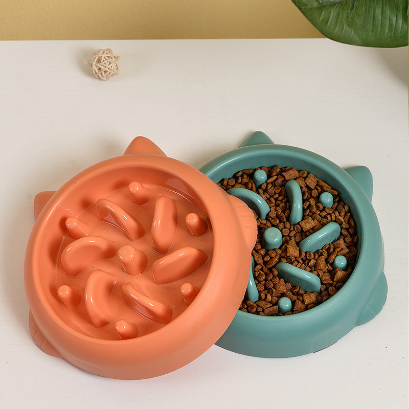 Fun & Healthy Slow Feeder Bowl