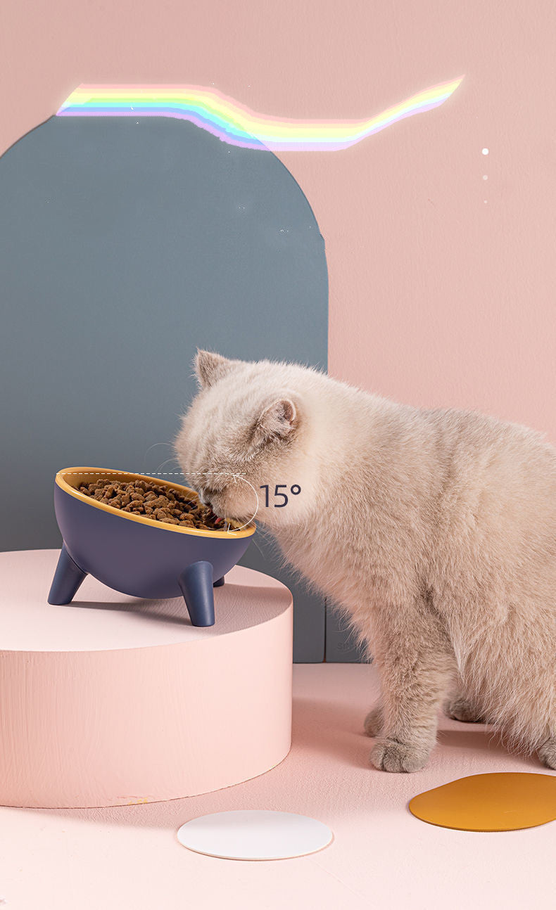 Tilted Cat Bowl for Healthier, Happier Mealtimes