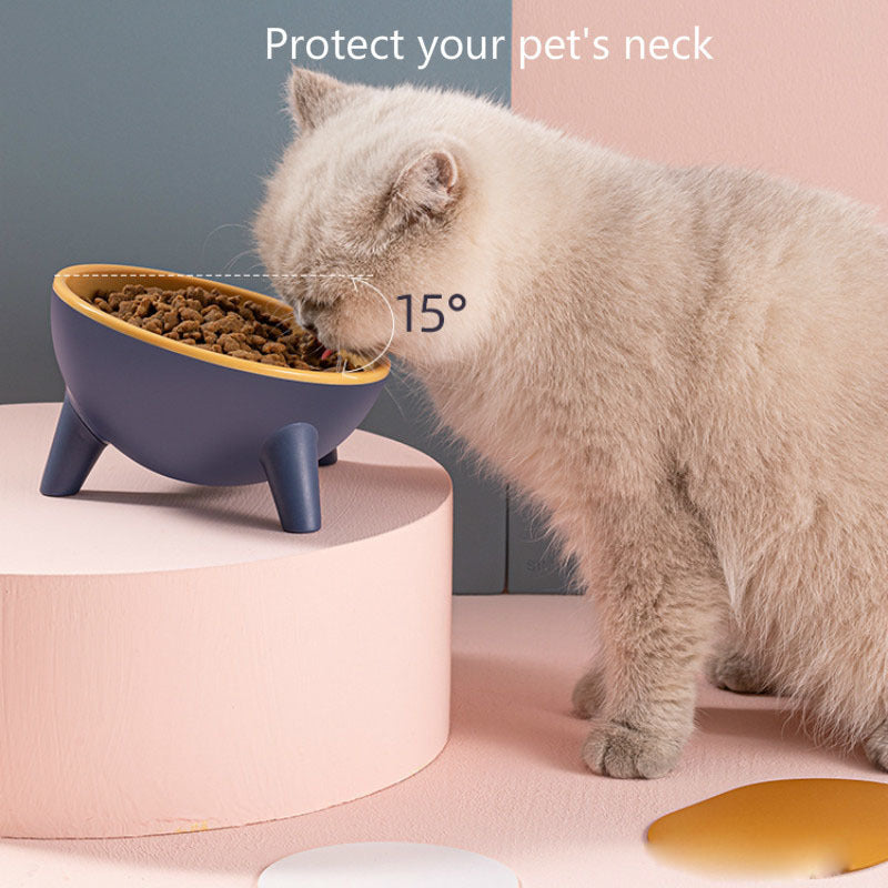 Tilted Cat Bowl for Healthier, Happier Mealtimes