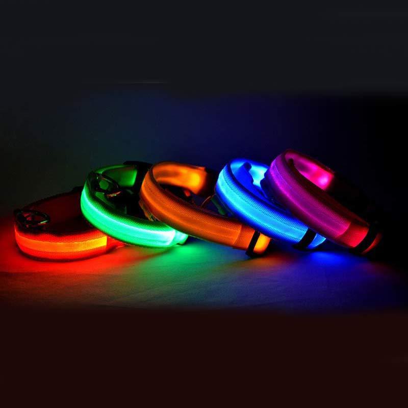 Light-Up Safety Collar: Keep Your Dog Visible and Stylish at Night!