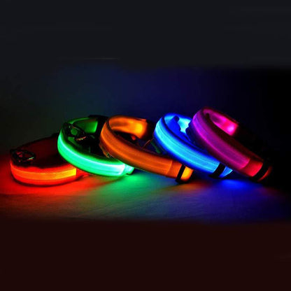 Light-Up Safety Collar: Keep Your Dog Visible and Stylish at Night!