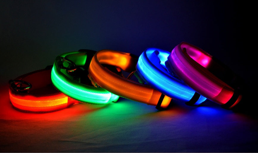 Light-Up Safety Collar: Keep Your Dog Visible and Stylish at Night!