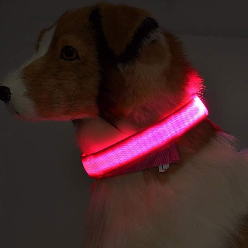 Light-Up Safety Collar: Keep Your Dog Visible and Stylish at Night!