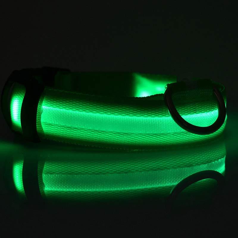 Light-Up Safety Collar: Keep Your Dog Visible and Stylish at Night!