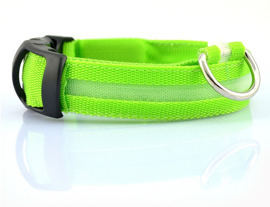 Light-Up Safety Collar: Keep Your Dog Visible and Stylish at Night!