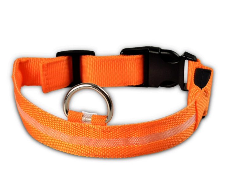 Light-Up Safety Collar: Keep Your Dog Visible and Stylish at Night!