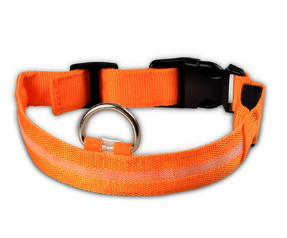 Light-Up Safety Collar: Keep Your Dog Visible and Stylish at Night!