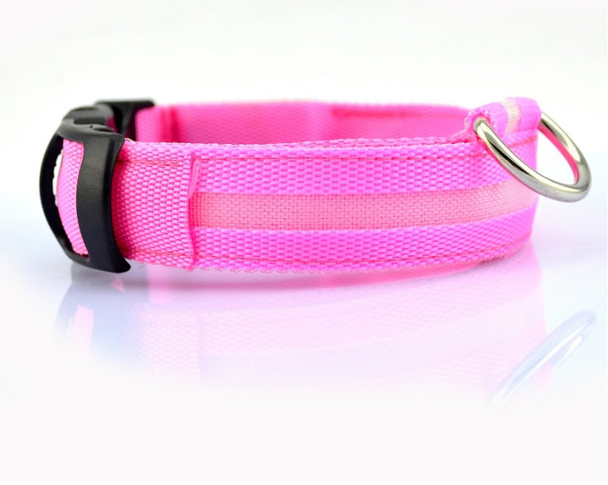 Light-Up Safety Collar: Keep Your Dog Visible and Stylish at Night!