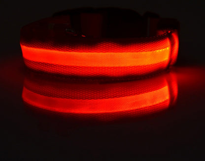 Light-Up Safety Collar: Keep Your Dog Visible and Stylish at Night!