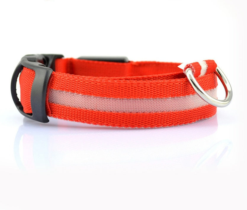 Light-Up Safety Collar: Keep Your Dog Visible and Stylish at Night!