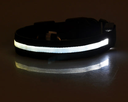 Light-Up Safety Collar: Keep Your Dog Visible and Stylish at Night!