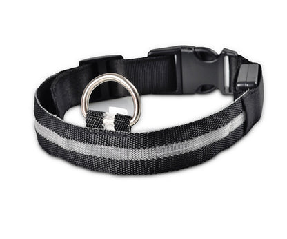 Light-Up Safety Collar: Keep Your Dog Visible and Stylish at Night!